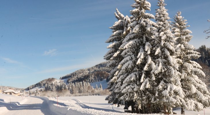 Vidéo : Partez à la découverte de nos paysages enneigés dans le Haut-Jura