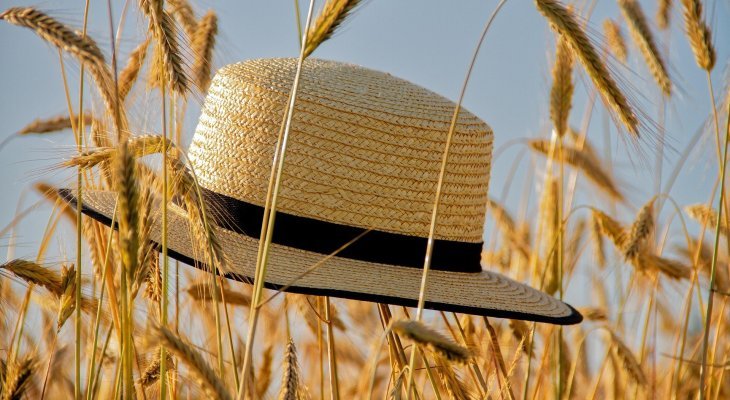 Bonnes vacances !