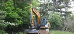 Anticipation sur les risques de feux de forêt