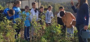 Les jardins partagés accueillent l'Institution Saint Oyend