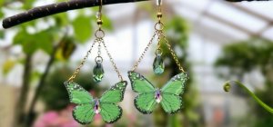 Un plaisir, un cadeau, émerveillez-vous !