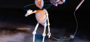 Magie et féerie à gogo !