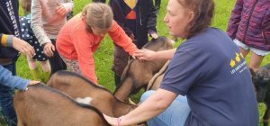« Les sabots du bonheur »