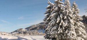 Vidéo : Partez à la découverte de nos paysages enneigés dans le Haut-Jura