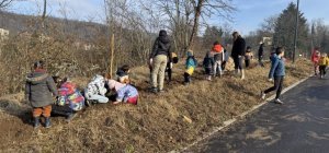 Les écoliers plantent deux haies d'arbustes