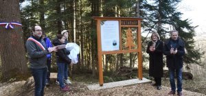 Inauguration
d'un Sapin Président