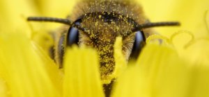 A la découverte de deux photographes, Samuel Guermonprez et Karine Collet