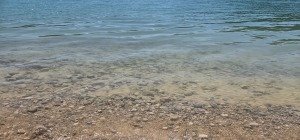 Belles vacances à tous !